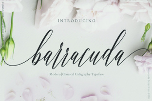 Barracuda Script: Evaluating a Calligraphy Font for Modern Design Projects
