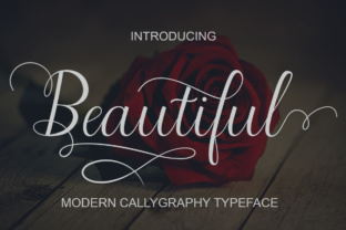 Beautiful Script: A Modern Calligraphy Delight