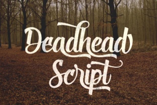 The Craft of Expression: Exploring Deadhead Script