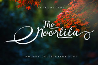 The Noorlita Script: A Fusion of Artistry and Practical Elegance